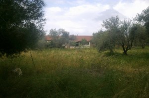klil