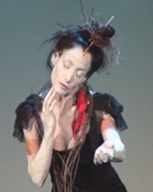 מיה דונסקי - בוטו