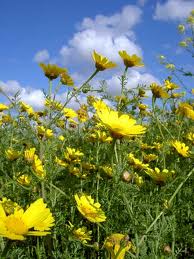 סדנאות קיץ וימים פתוחים